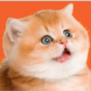 Meet your Posher, Zunaynah